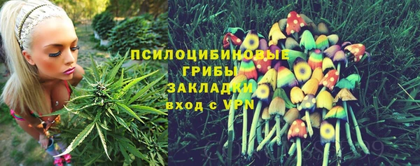 spice Верея