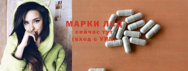 spice Верея